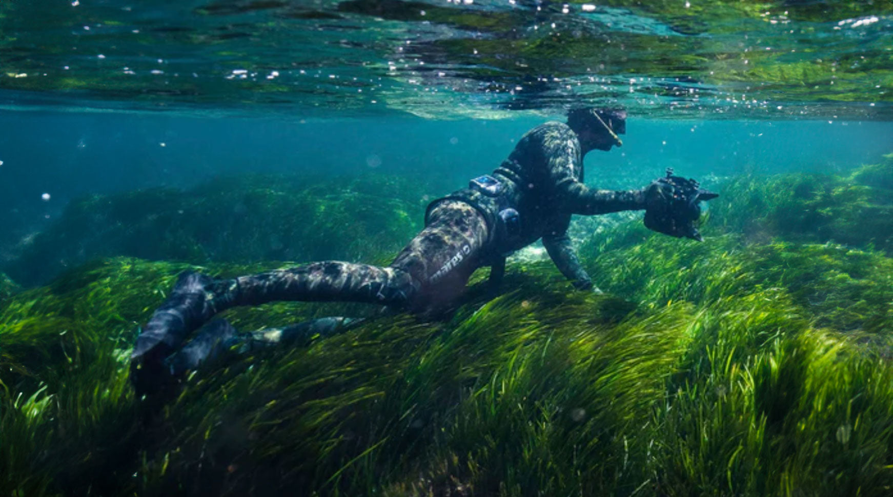 Diver in posidonia seagrass