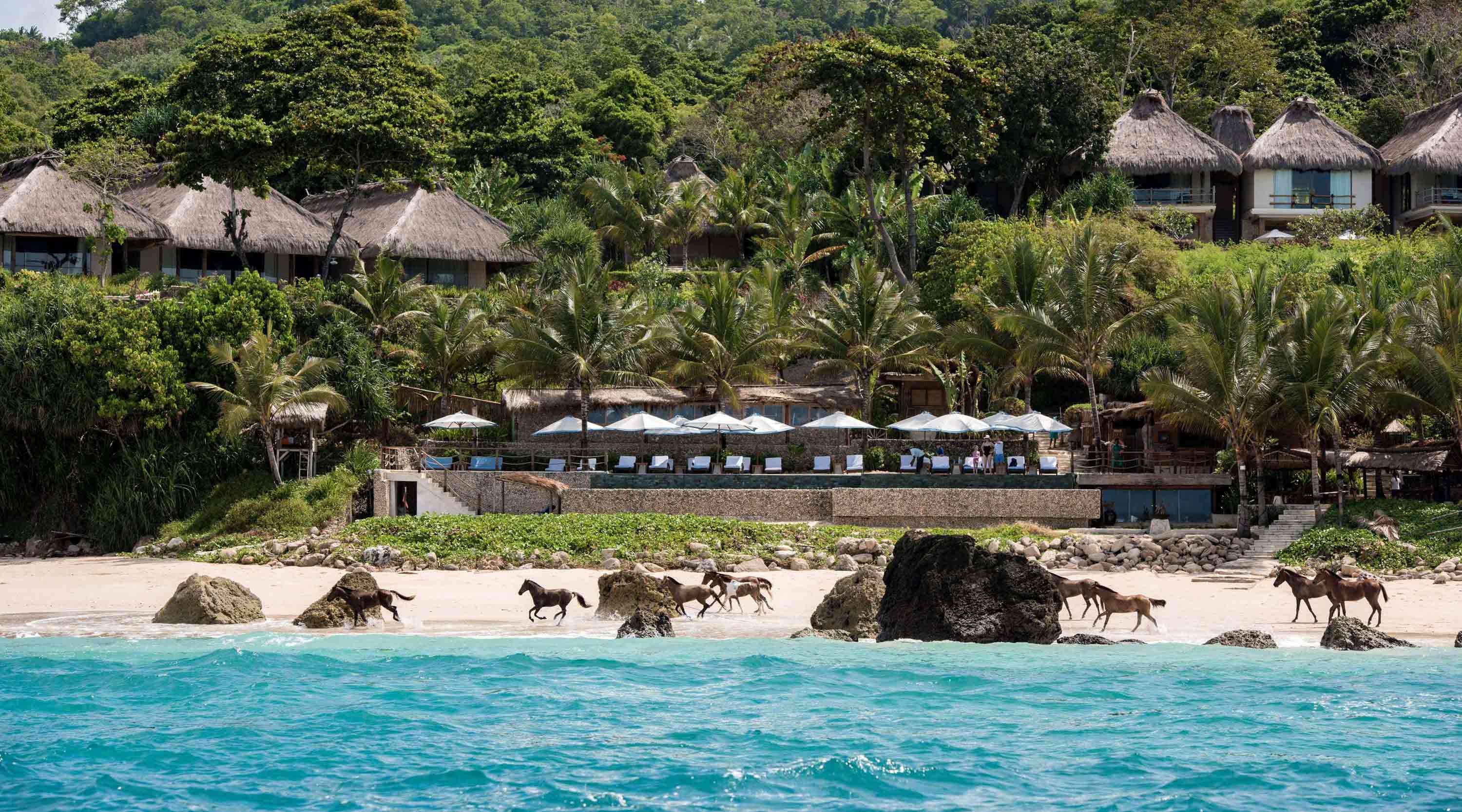 Nihi Sumba Resort exterior showing the beach with horses running across