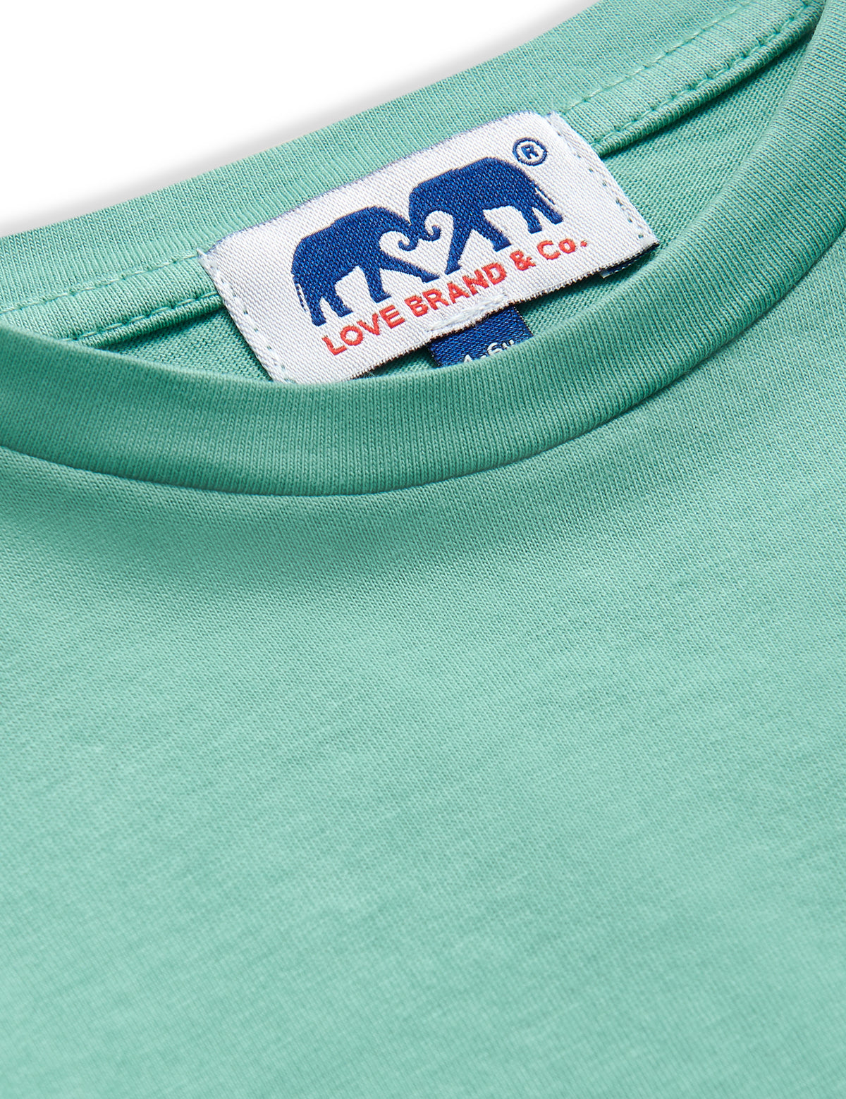 Close-up view of the neckline and label on the Boys Riviera Green Lockhart T Shirt made from 100% cotton.