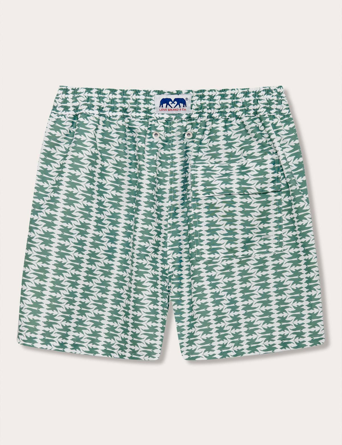 Men's Dolphins of Greece Staniel Swim Shorts with a green and white dolphin pattern on a flat white background.