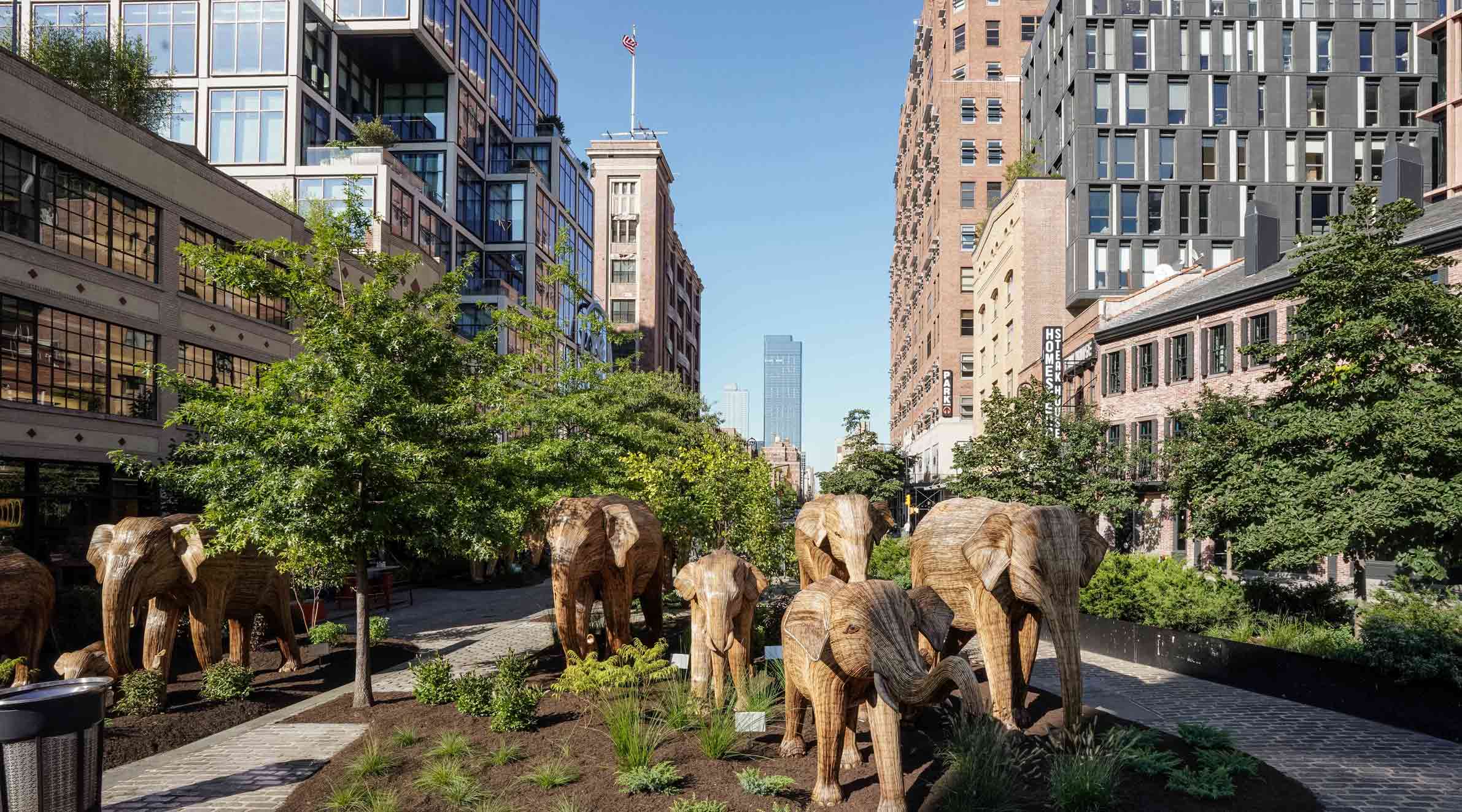 The Great Elephant Migration New York herd