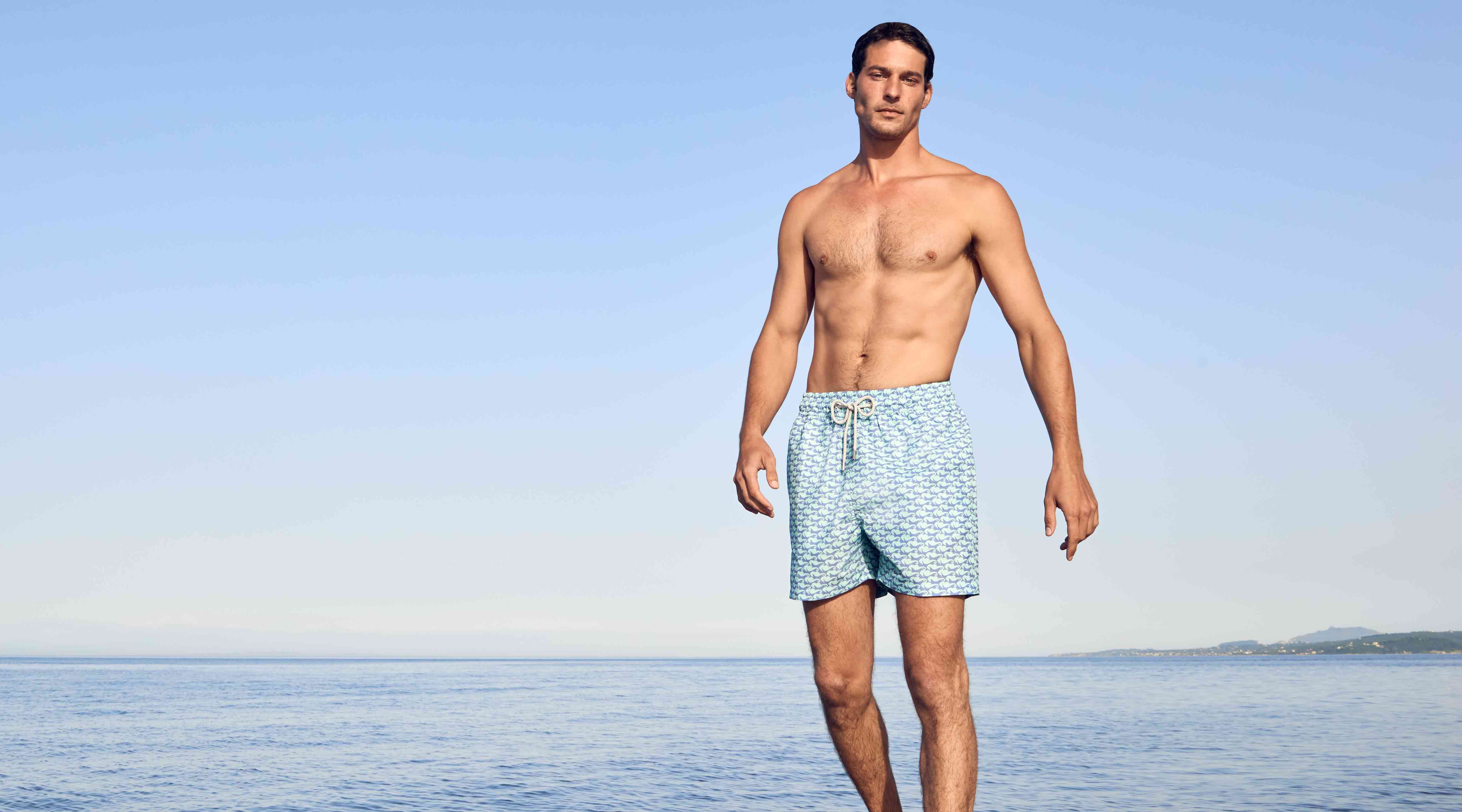 Love Brand Staniel Seahorses and Orcas mens swim shorts 