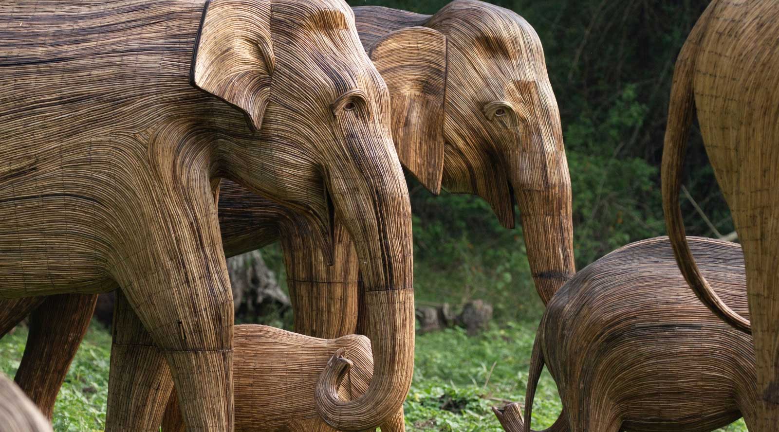 The Great Elephant Migration Sculptures