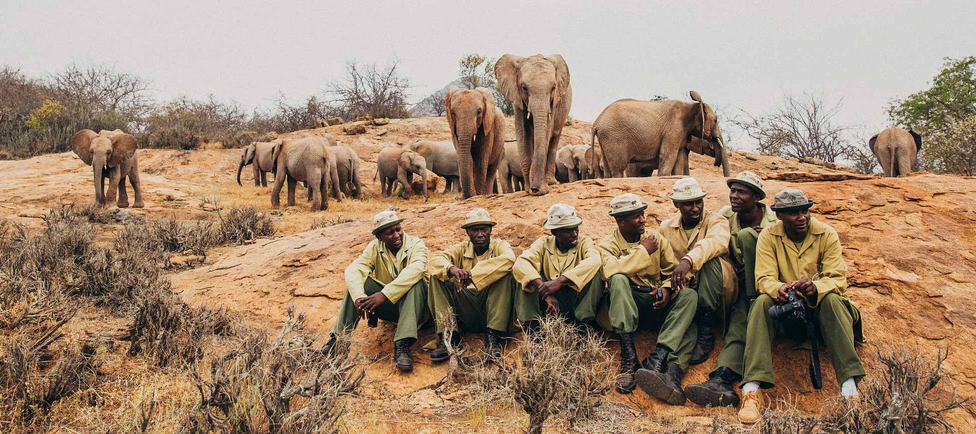 The Sheldrick Wildlife Trust Elephants and workers